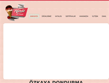 Tablet Screenshot of ozkayadondurma.com